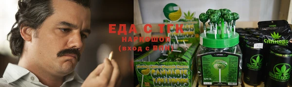 мдпв Гатчина